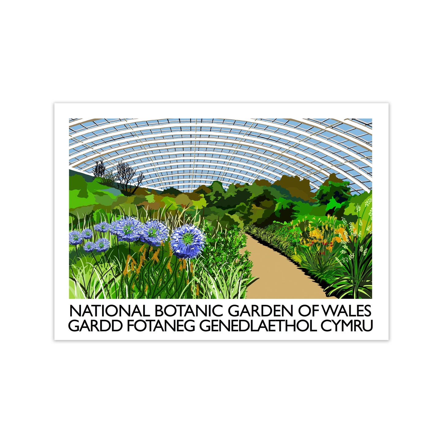 National Botanic Garden of Wales Travel Art Print by Richard O'Neill
