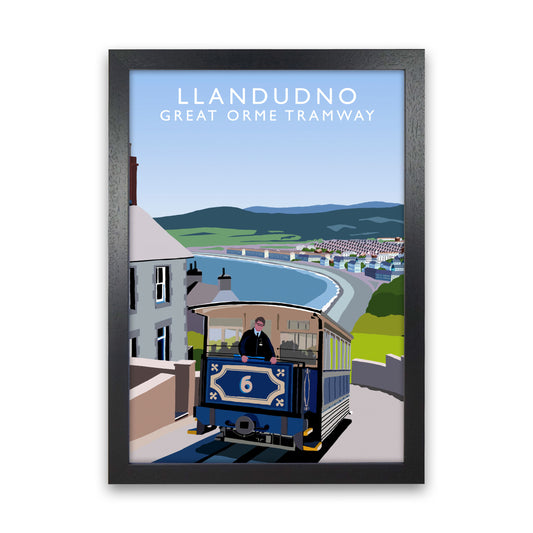 Llandudno by Richard O'Neill Black Grain