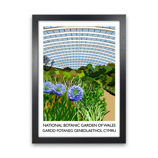 National Botanic Garden Of Wales by Richard O'Neill Black Grain