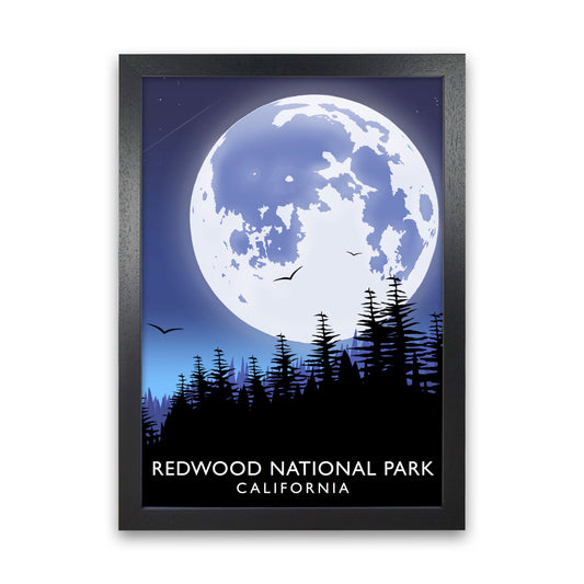 Redwood National Park California Portrait Travel Art Print by Richard O'Neill Black Grain