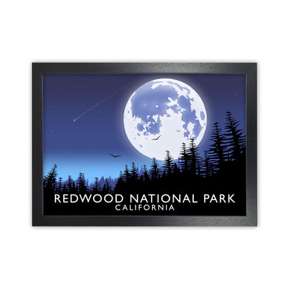 Redwood National Park California Travel Art Print by Richard O'Neill Black Grain