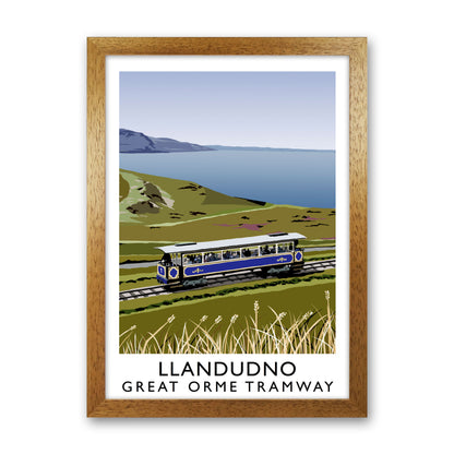 Llando Great Orme Tramway Art Print by Richard O'Neill Oak Grain