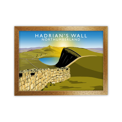 Hadrians Wall by Richard O'Neill Oak Grain