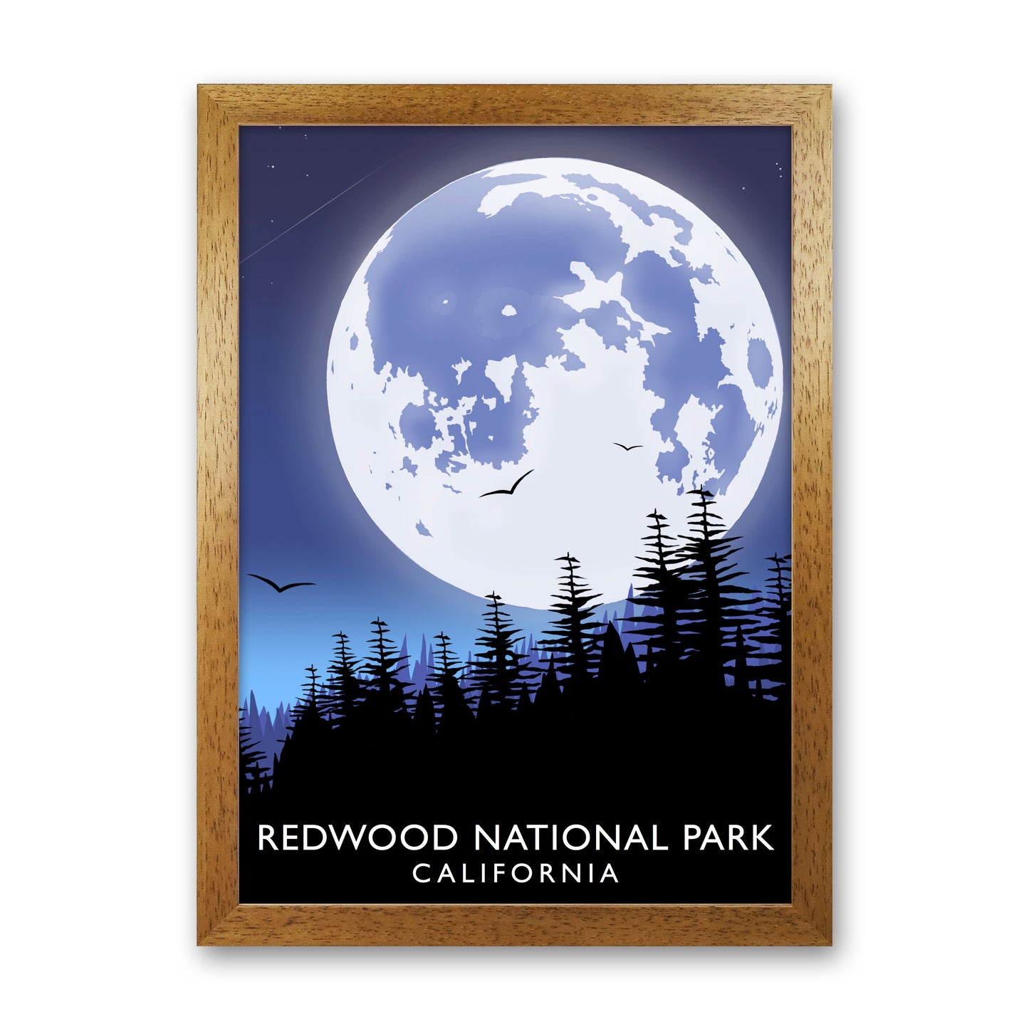 Redwood National Park California Portrait Travel Art Print by Richard O'Neill Oak Grain