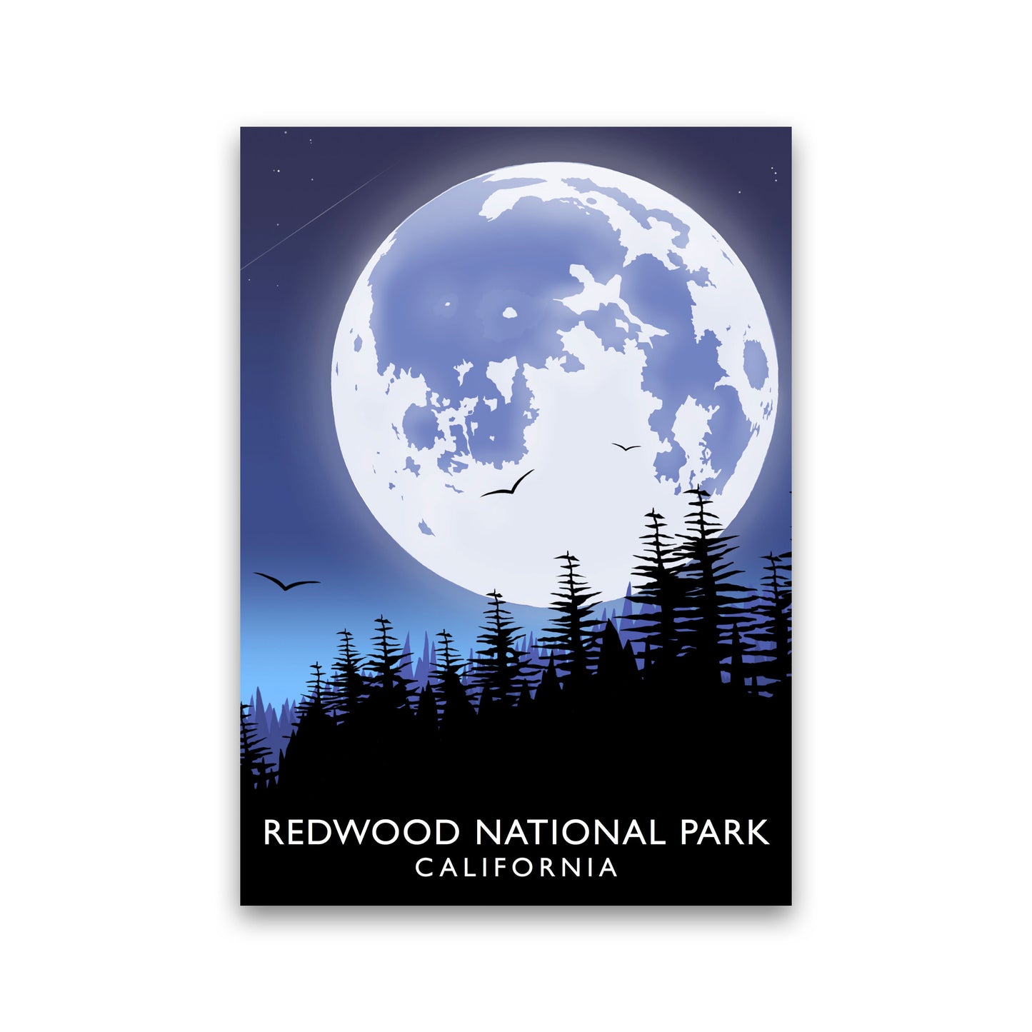 Redwood National Park California Portrait Travel Art Print by Richard O'Neill