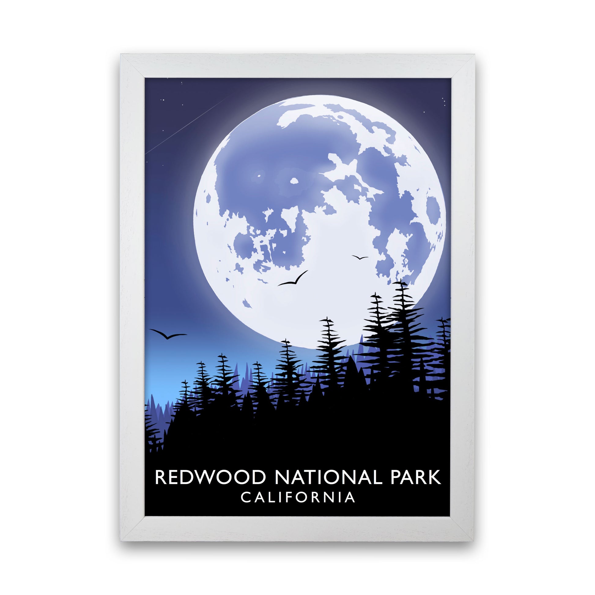 Redwood National Park California Portrait Travel Art Print by Richard O'Neill White Grain