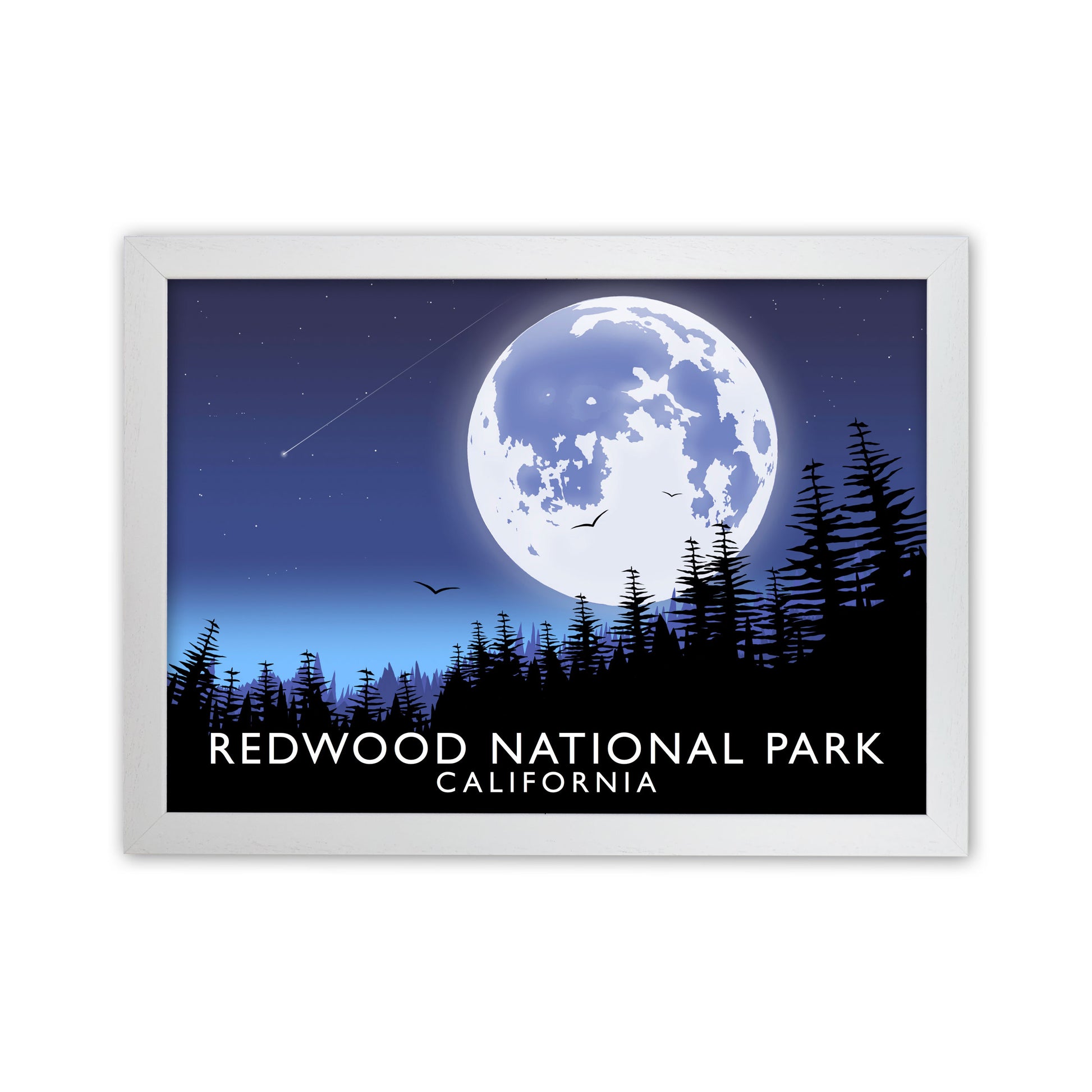 Redwood National Park California Travel Art Print by Richard O'Neill White Grain