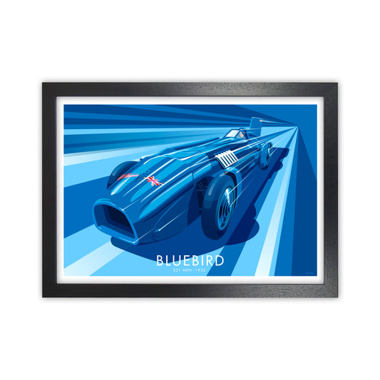 Bluebird Art Print by Stephen Millership, Framed Transport Print Black Grain