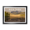 THE LAKES BLEA TARN A3 by Stephen Millership