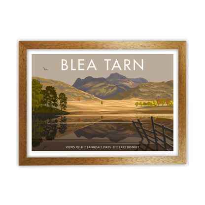 THE LAKES BLEA TARN A3 by Stephen Millership Oak Grain